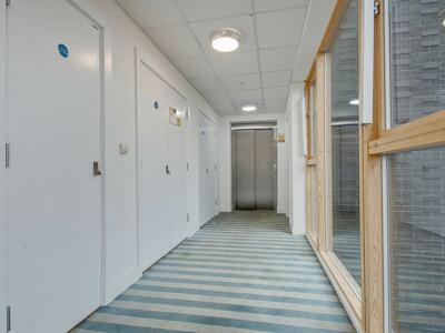 Picture 11
